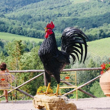 Agriturismo Borgo Il Bonagino Radda in Chianti Ngoại thất bức ảnh
