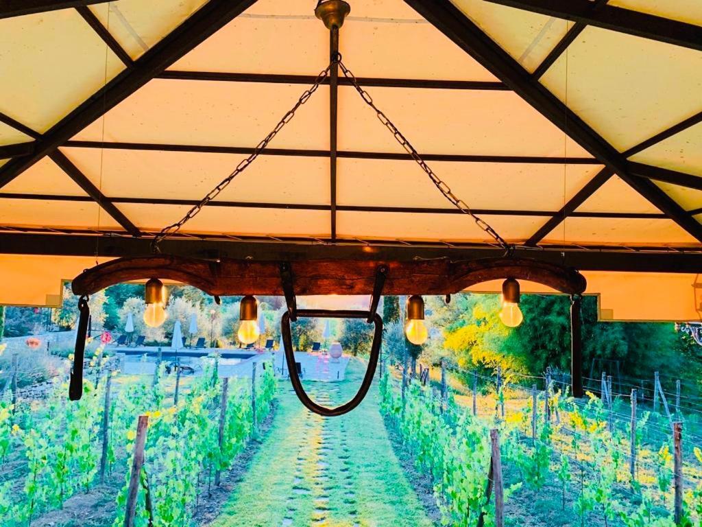 Agriturismo Borgo Il Bonagino Radda in Chianti Ngoại thất bức ảnh