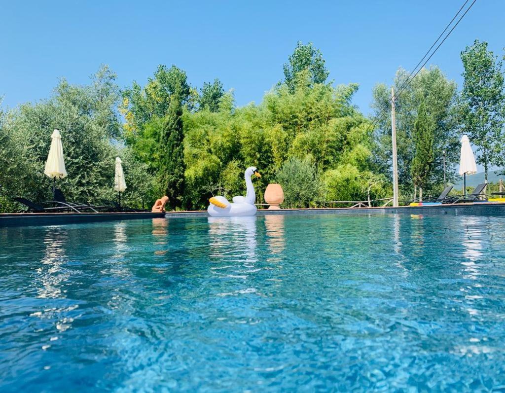 Agriturismo Borgo Il Bonagino Radda in Chianti Ngoại thất bức ảnh