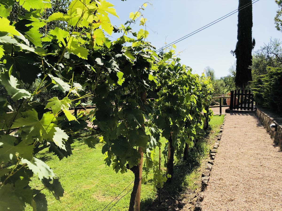 Agriturismo Borgo Il Bonagino Radda in Chianti Ngoại thất bức ảnh
