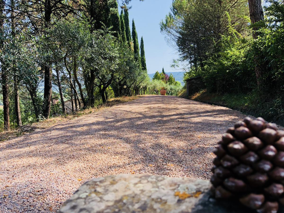Agriturismo Borgo Il Bonagino Radda in Chianti Ngoại thất bức ảnh